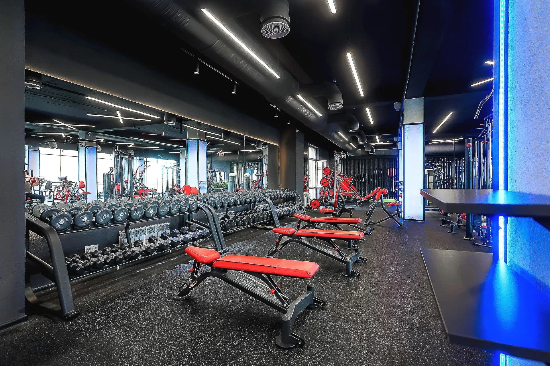 club image