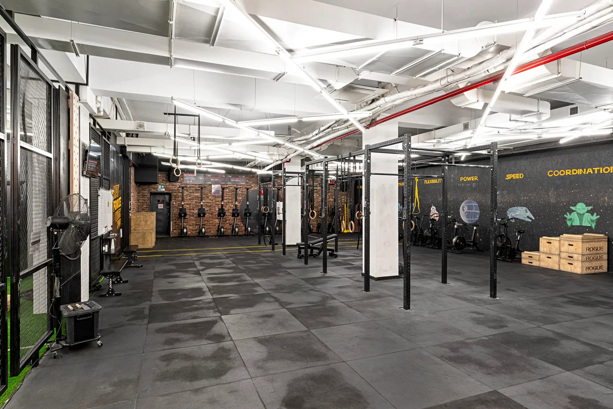 club image